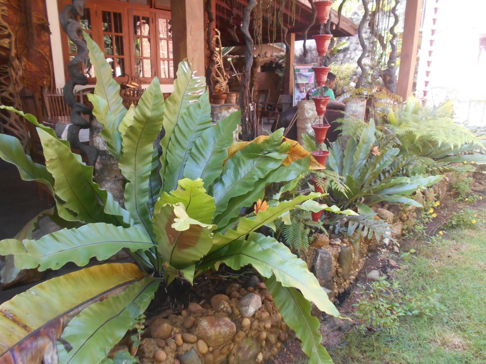 Sapphire Holiday Resort Ratnapura Exterior photo